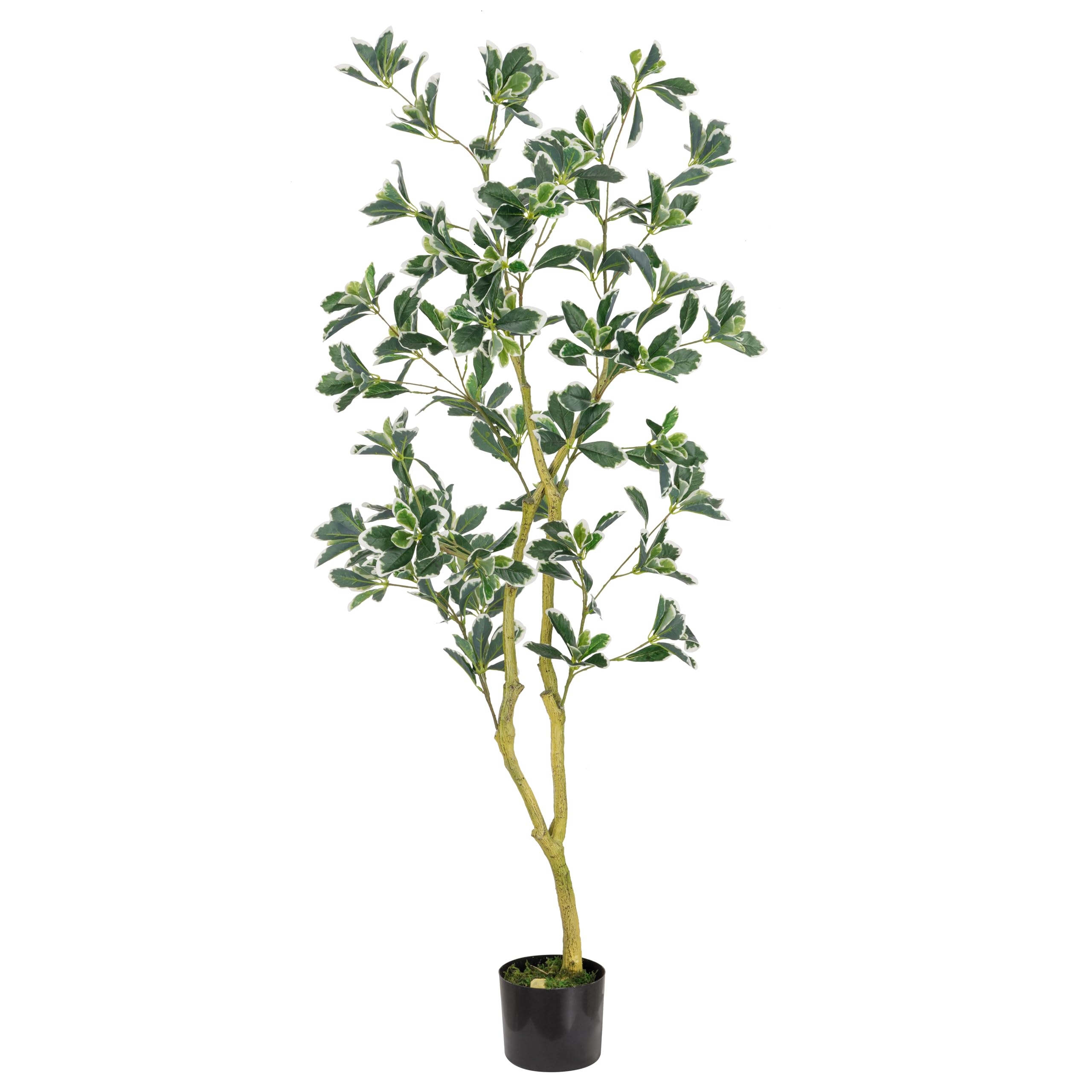 Baroni Home Pianta Artificiale Dracaena 100 cm da Interno