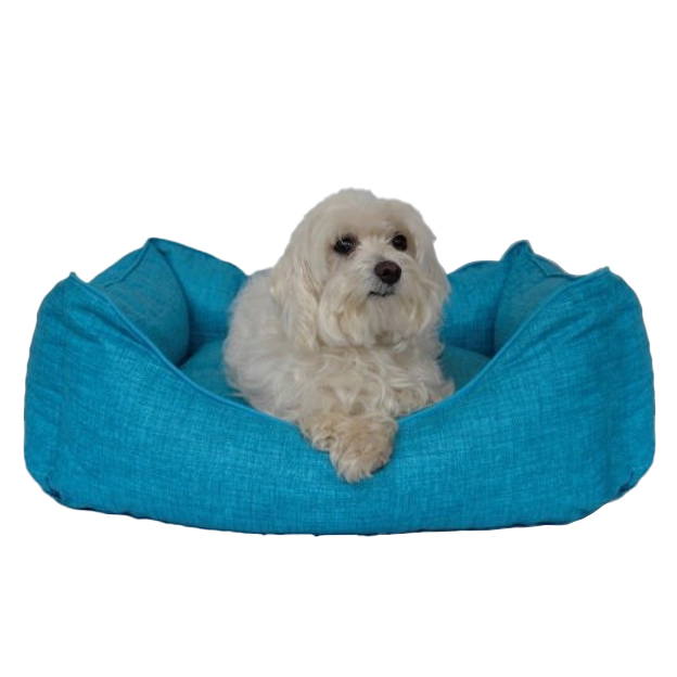 PetPlus Salud cuccia cane cesto ipoallergenica reversibile