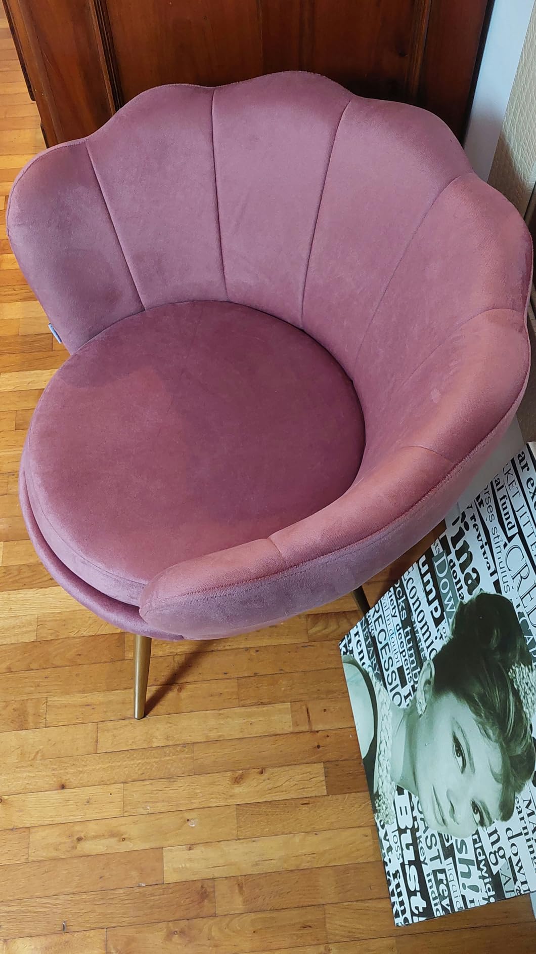 Baroni Home poltrona conchiglia velluto cipria 69x71x84 cm