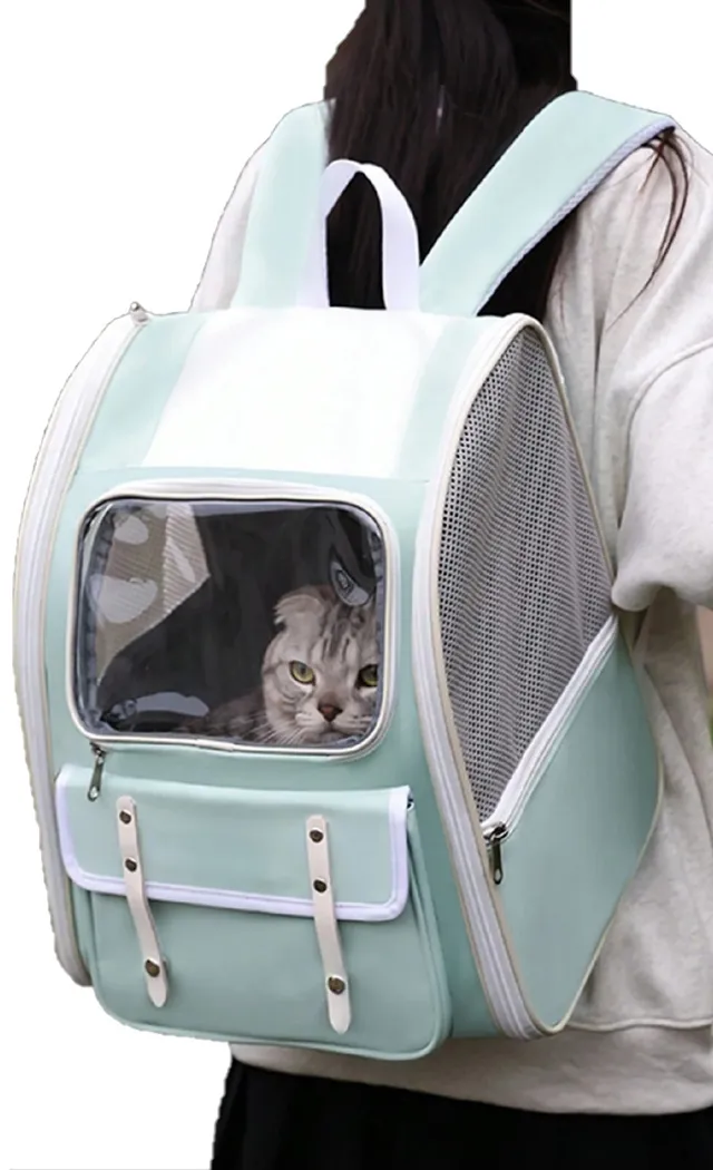 PetPlus Borsa Trasportino per Cani Gatti 37 cm Blu