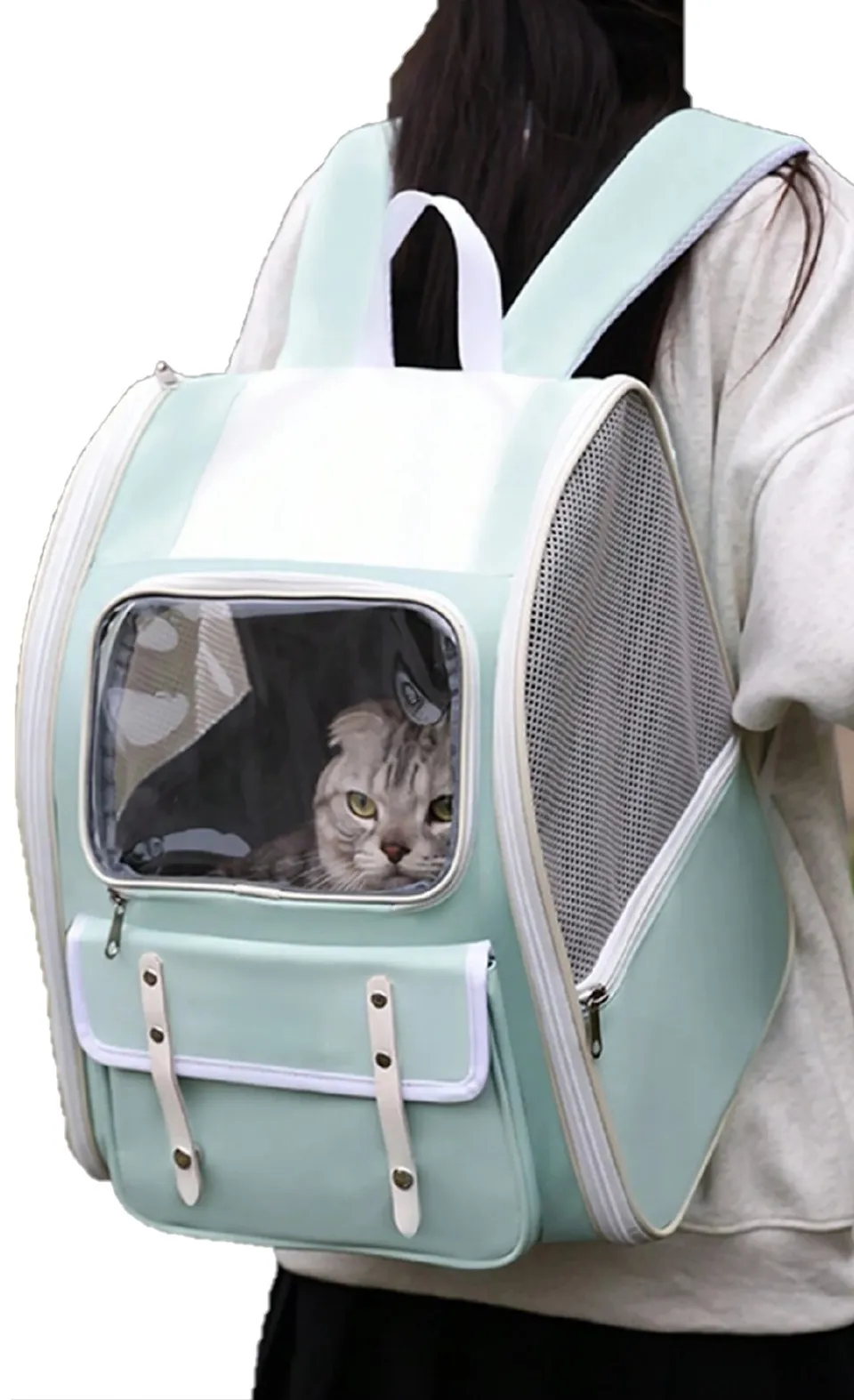 PetPlus Borsa Trasportino per Cani Gatti 37 cm Blu