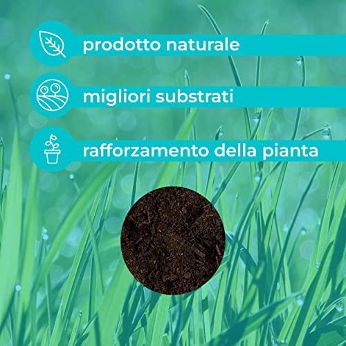 Baroni Terriccio Universale 20 Litri 7 Kg per Vaso