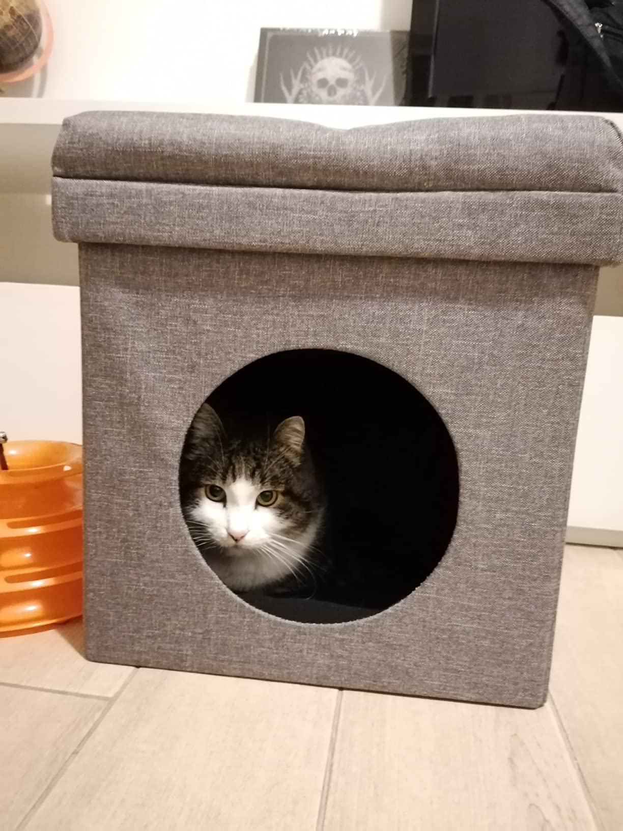 Baroni Home Cuccia Cane Gatto Pouf Marrone 38x38x42 cm