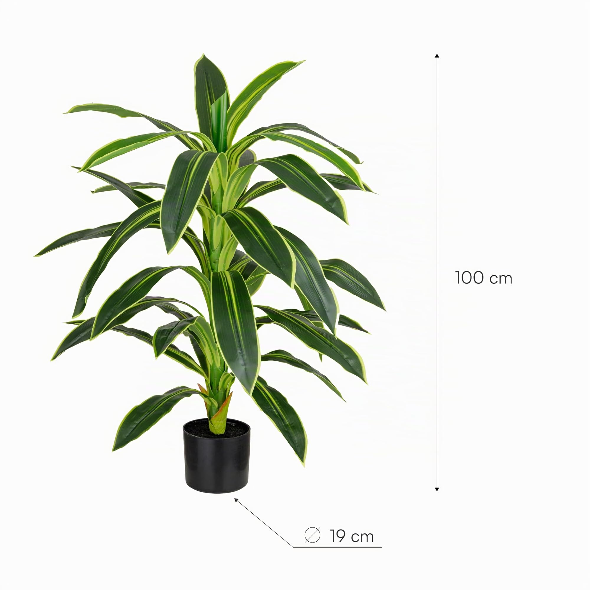 Baroni Home Pianta Artificiale Dracaena 100 cm da Interno