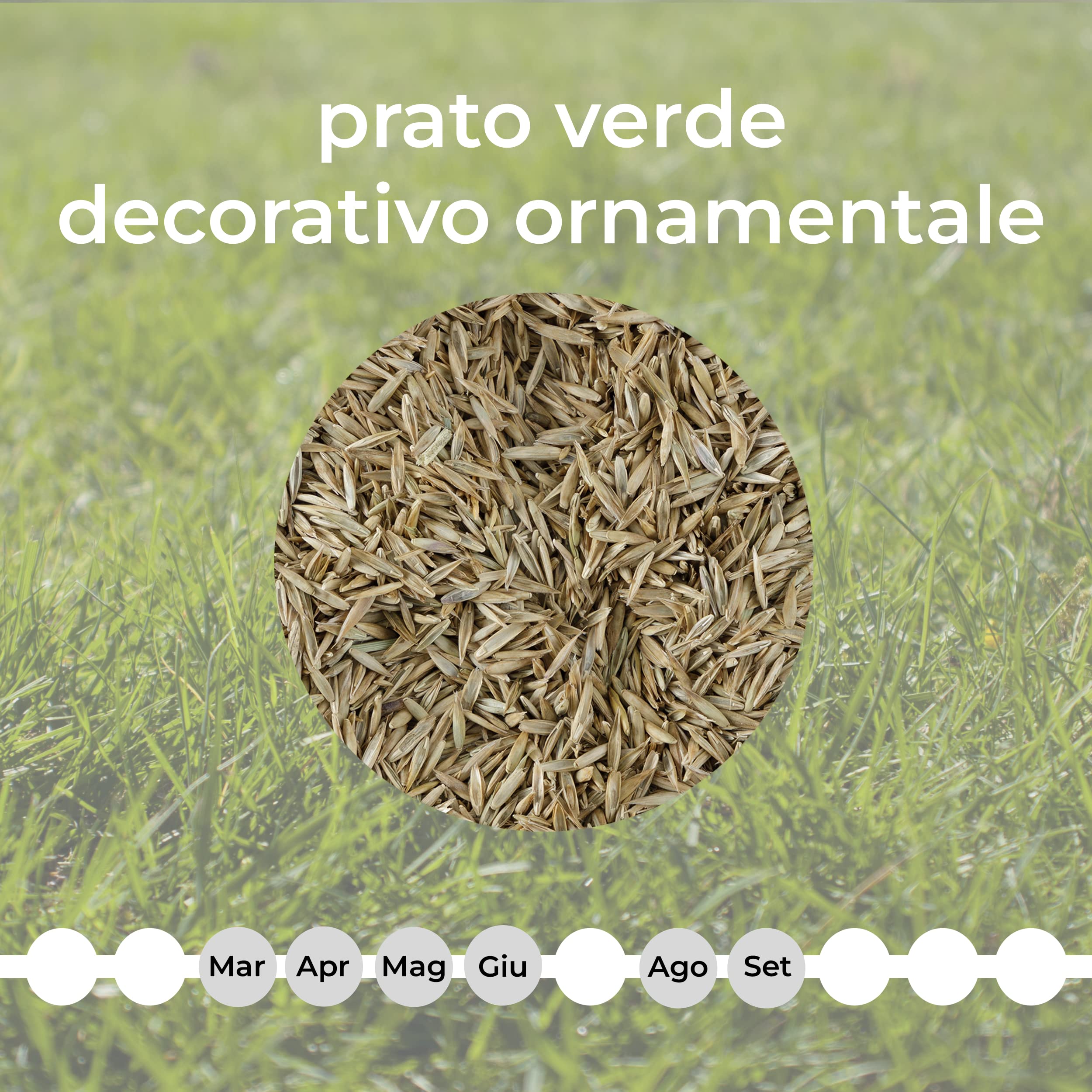 Baroni Semi Prato Ornamentale 40 Mq Alta Germinabilità
