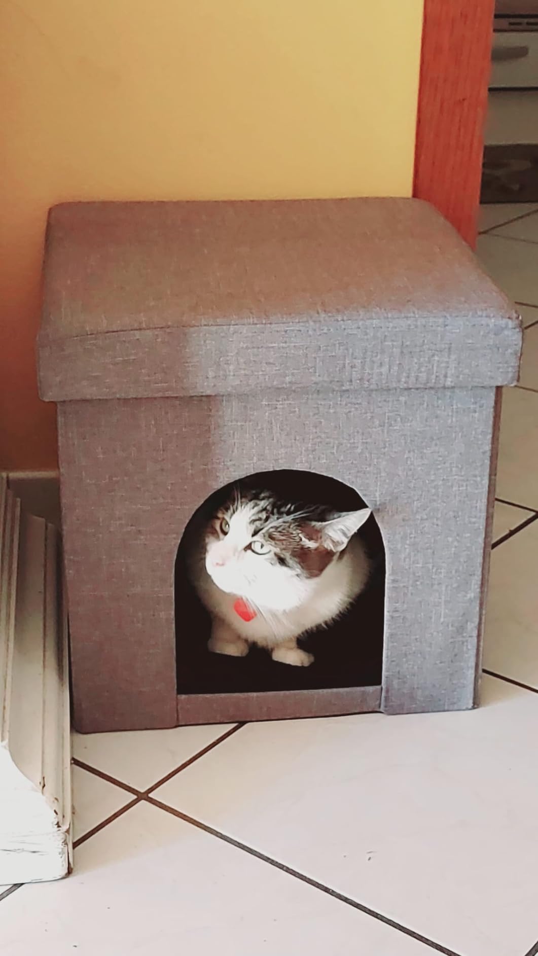 Baroni Home cuccia cane gatto tortora 38x38 cm pieghevole