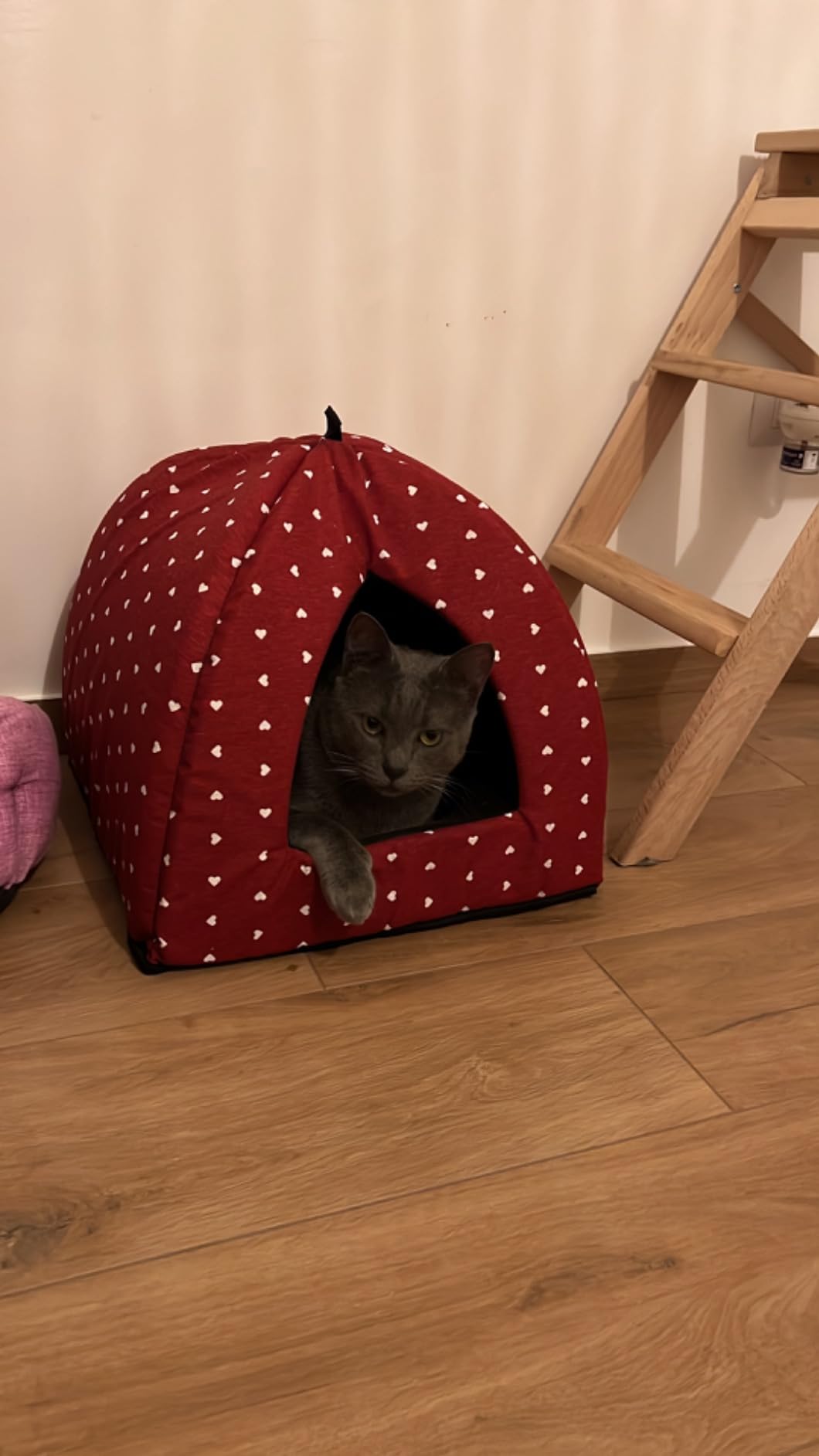 Baroni Home cuccia gatto piramide rossa cuori 40 cm lavabile