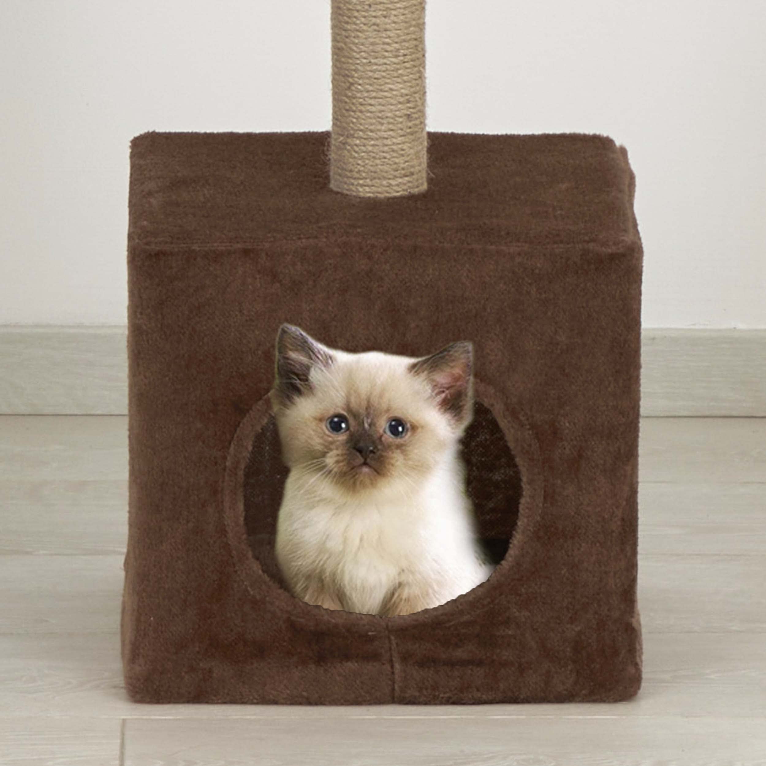 Baroni Home Tiragraffi Gatti 50 cm Marrone con Cuccia