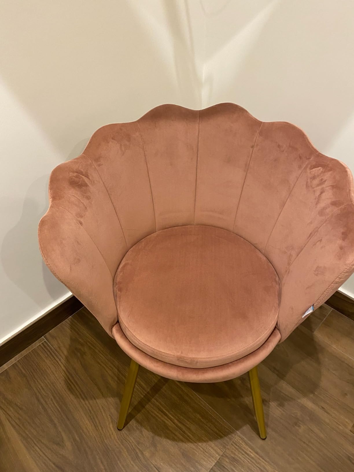 Baroni Home poltrona conchiglia velluto cipria 69x71x84 cm