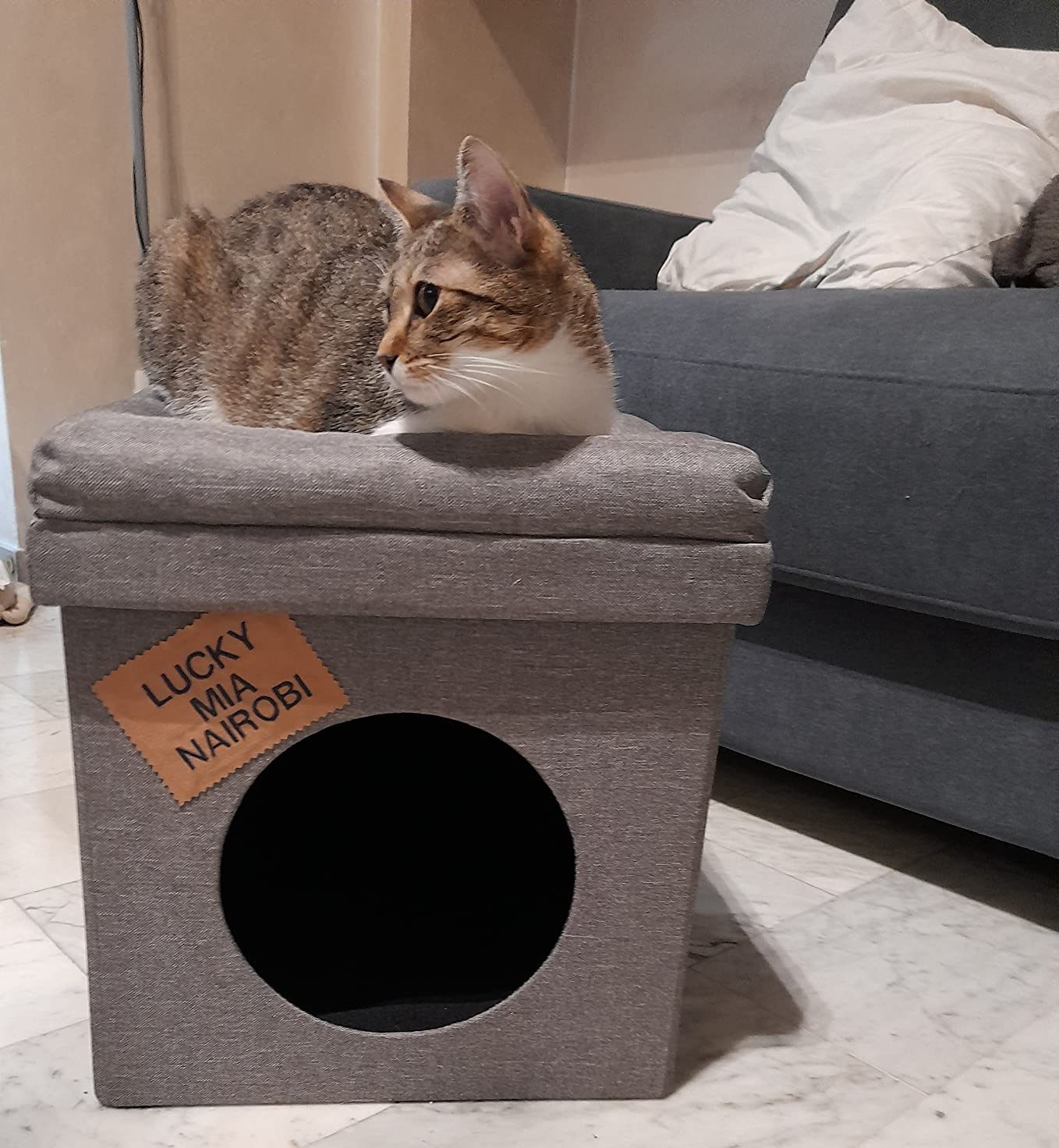 Baroni Home Cuccia Cane Gatto Pouf Marrone 38x38x42 cm