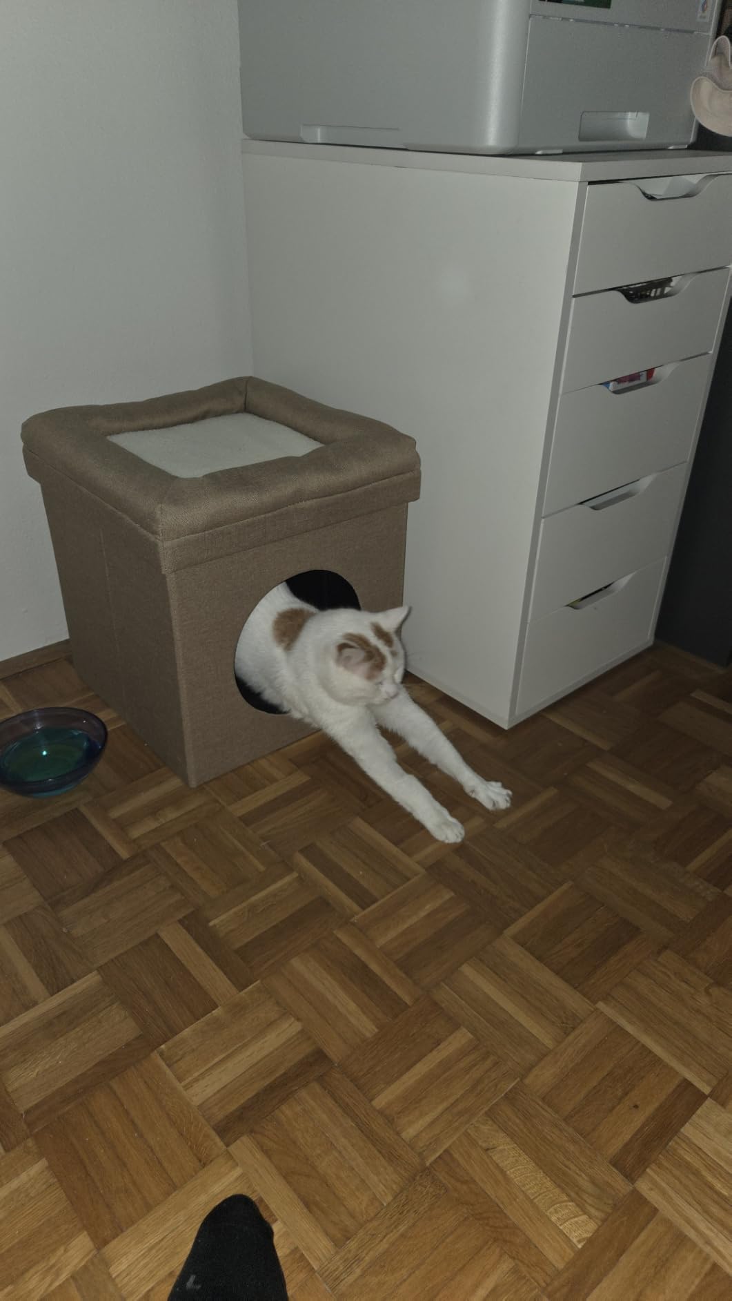Baroni Home Cuccia Cane Gatto Pouf Marrone 38x38x42 cm