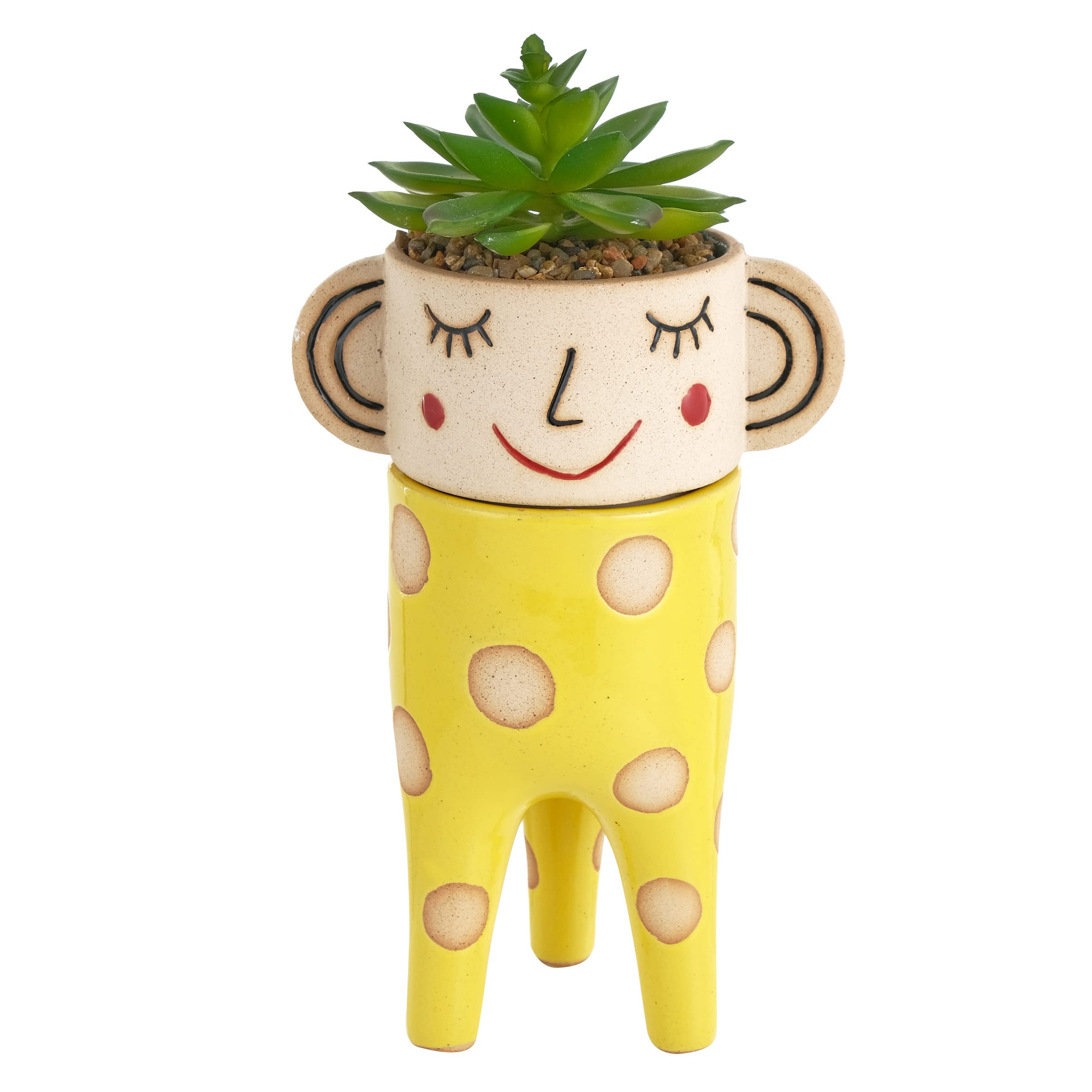 Baroni Home Vaso Ceramica Meditatore Grande con Piantina