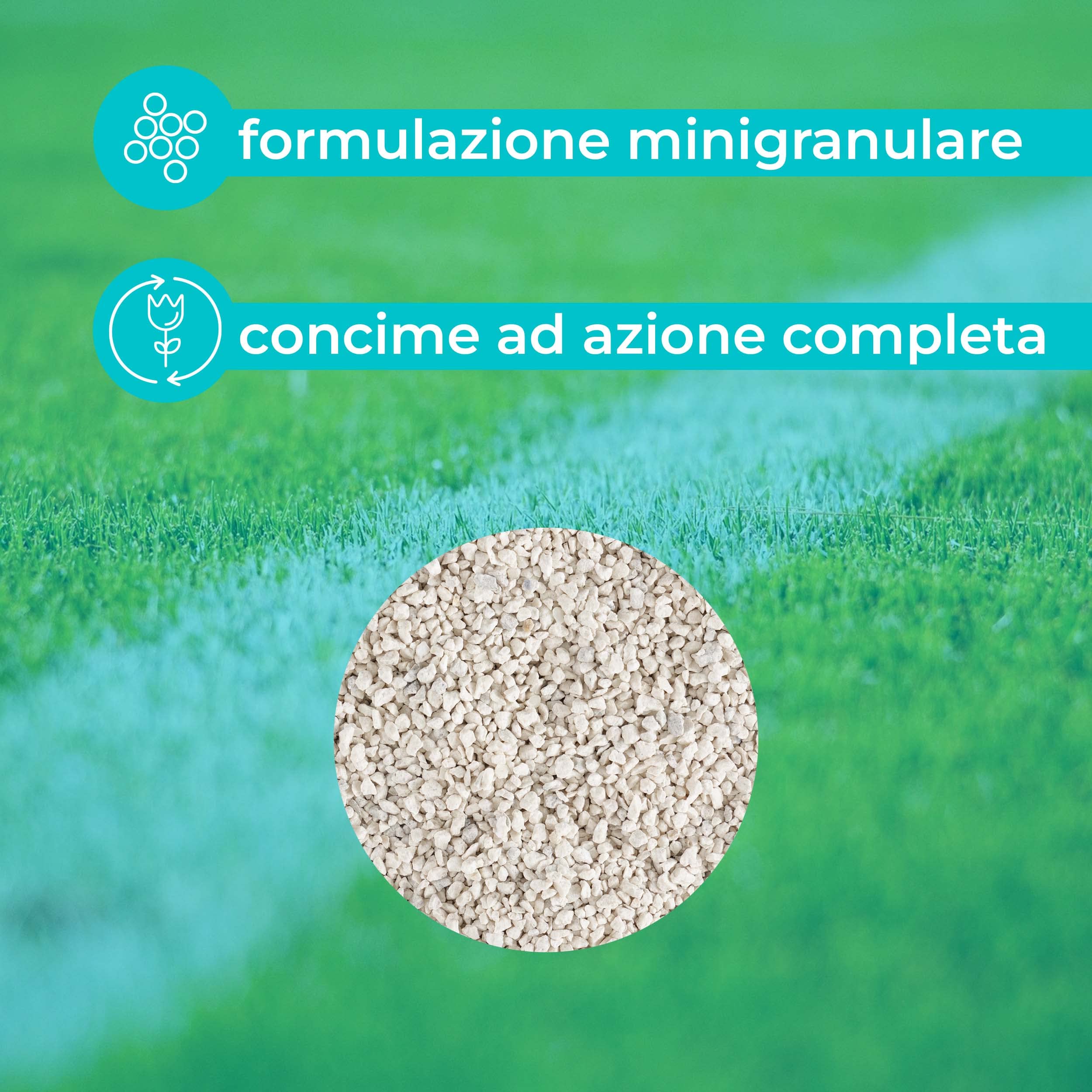 Baroni Concime Prato Granulare Alto Azoto 4,5 Kg per 180 Mq