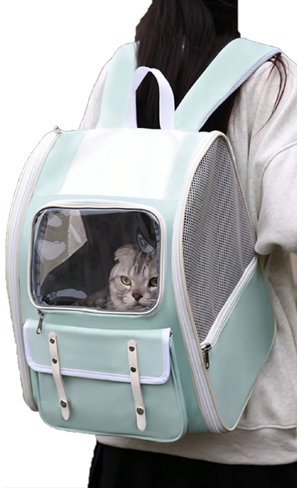 PetPlus Borsa Trasportino per Cani Gatti 37 cm Blu