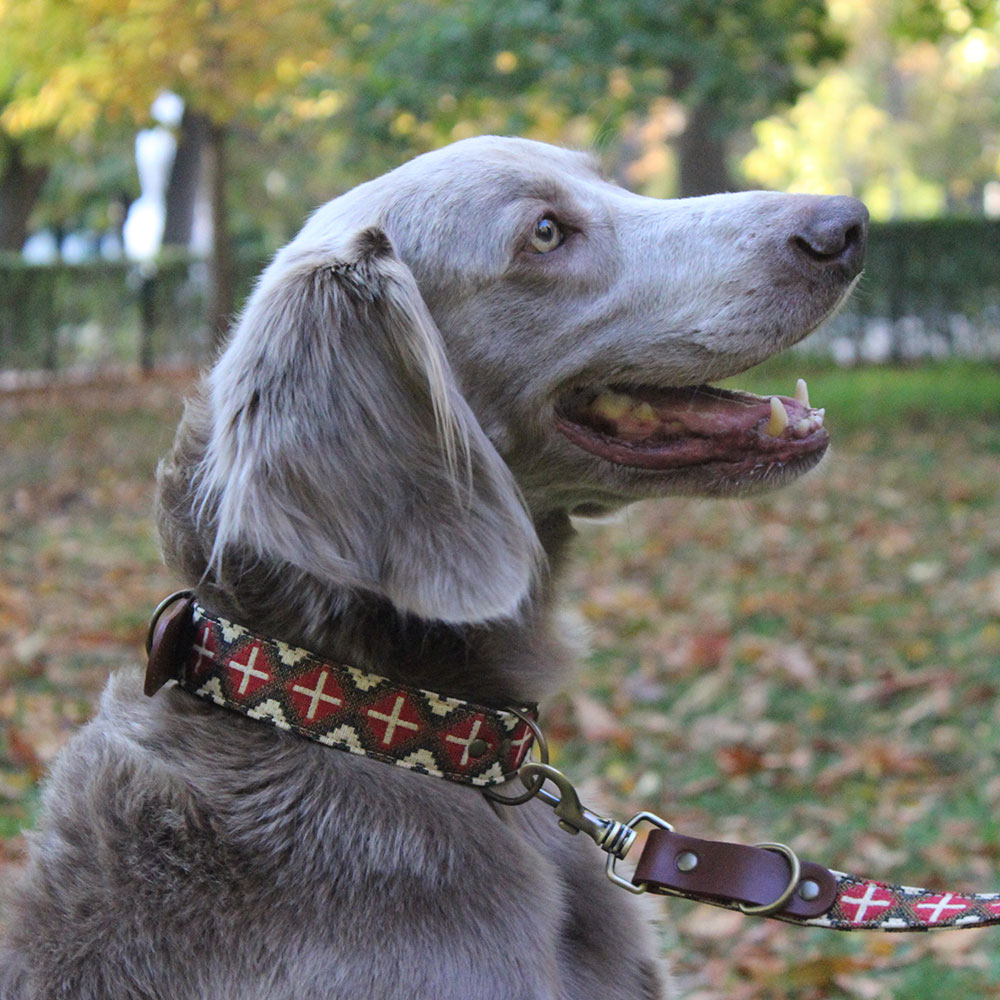 PetPlus Fandi collare cane in pelle fatto a mano