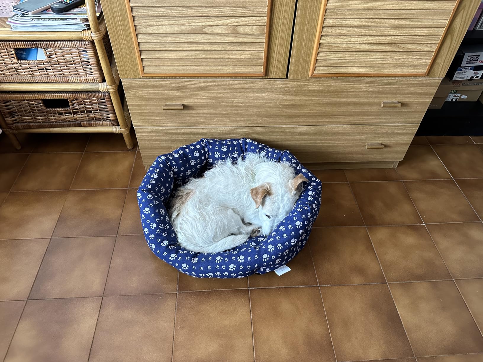 Baroni Home Cuccia Cane e Gatto 45x55 cm Grigio Bordeaux