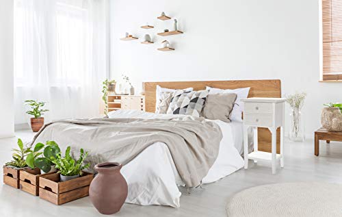 Baroni Home Montemaggi comodino 2 cassetti bianco 37x26x70