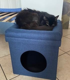 Baroni Home Cuccia Cane Gatto Pouf Marrone 38x38x42 cm