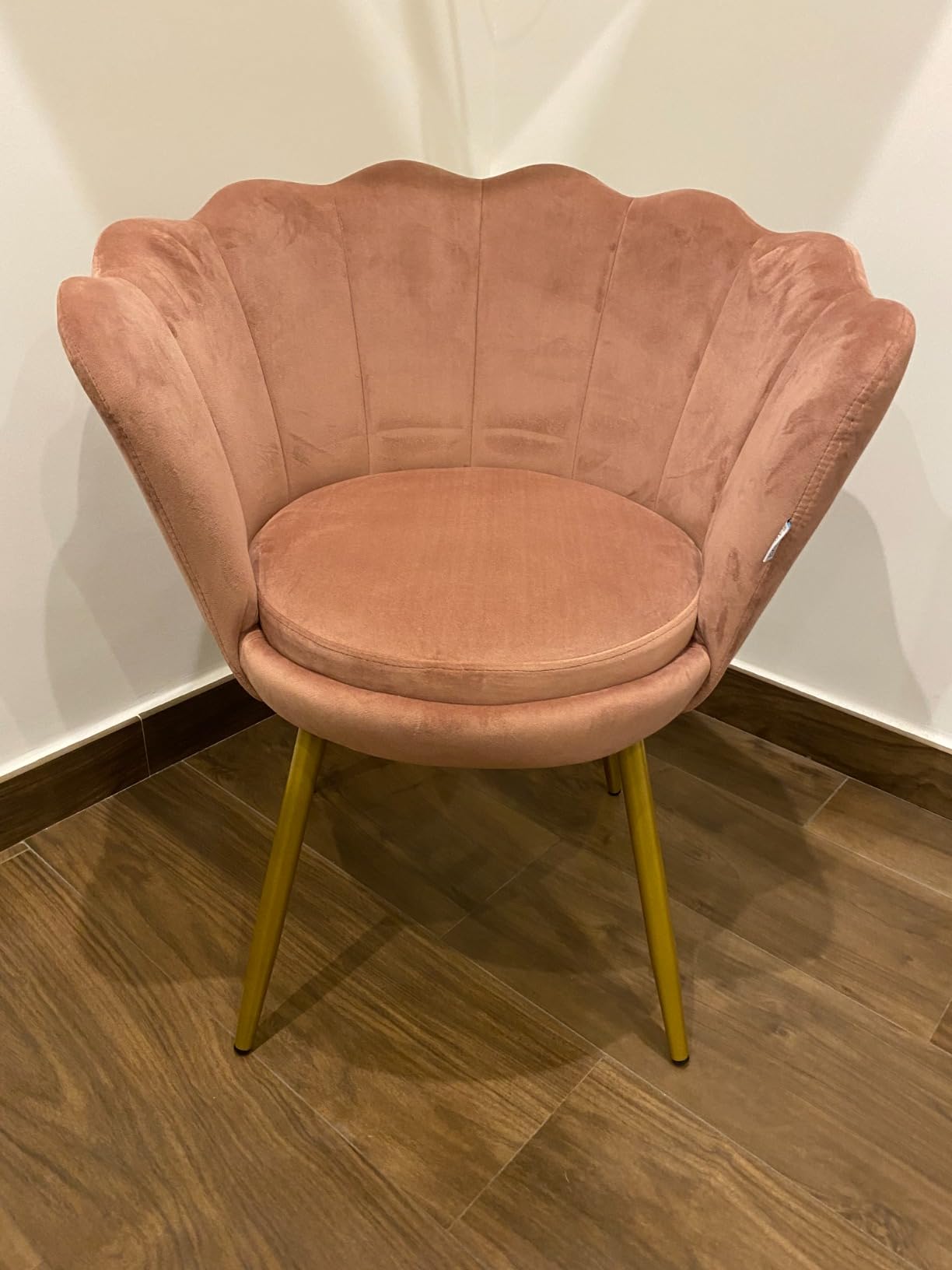 Baroni Home poltrona conchiglia velluto cipria 69x71x84 cm