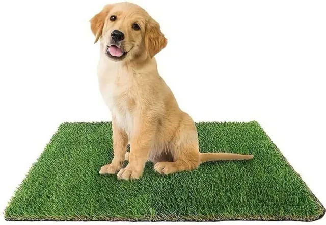 PetPlus erba artificiale tappetino cani 71x46cm lavabile
