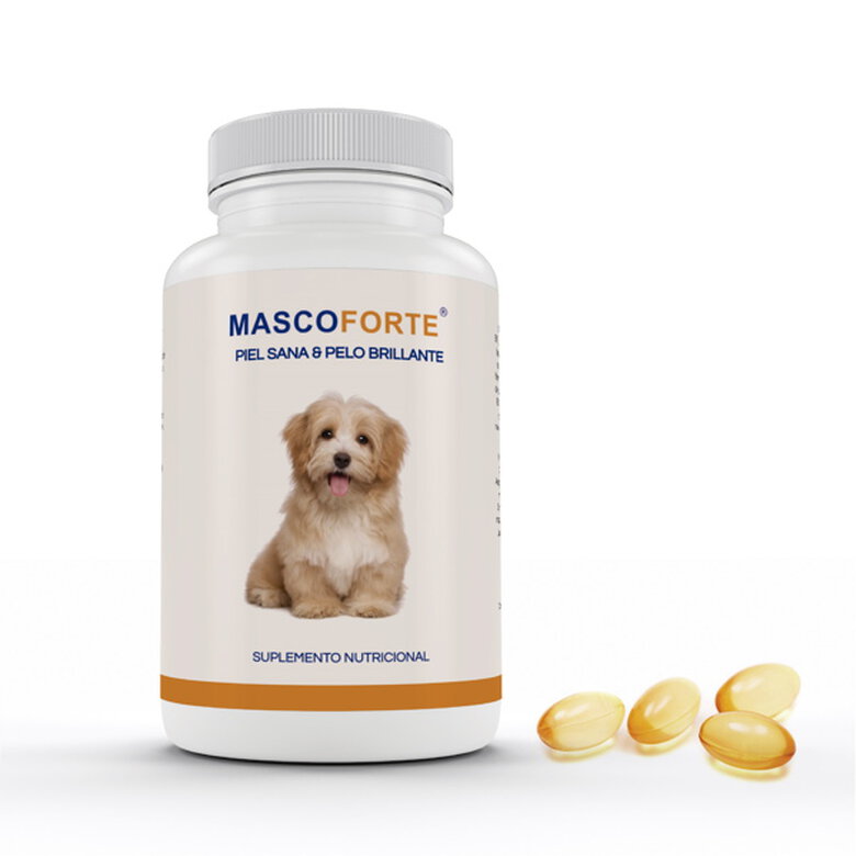 PetPlus PETbox box snack naturali cane carne e pesce