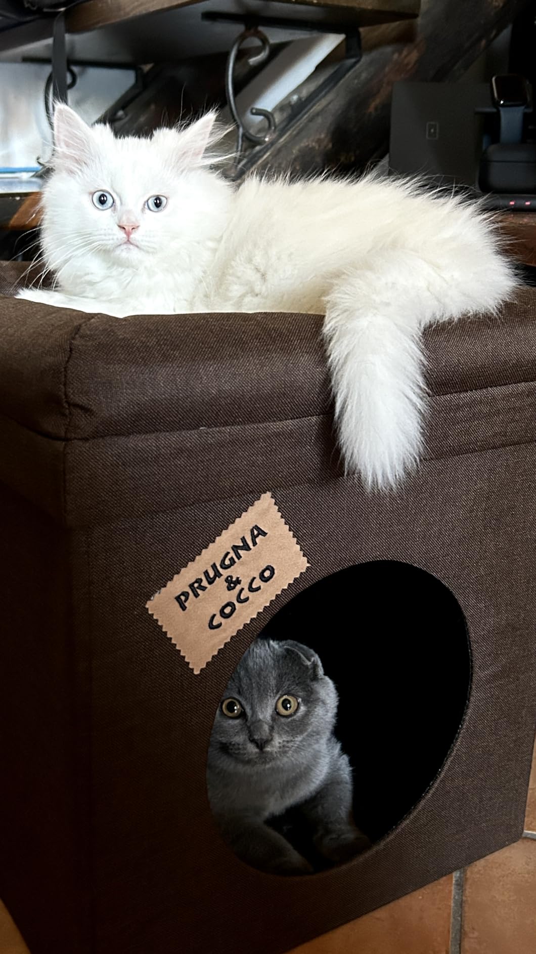 Baroni Home Cuccia Cane Gatto Pouf Marrone 38x38x42 cm