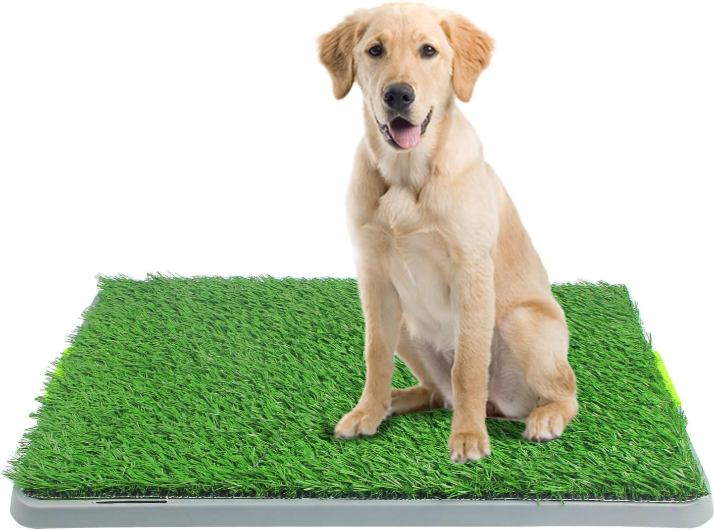PetPlus erba artificiale tappetino cani 71x46cm lavabile