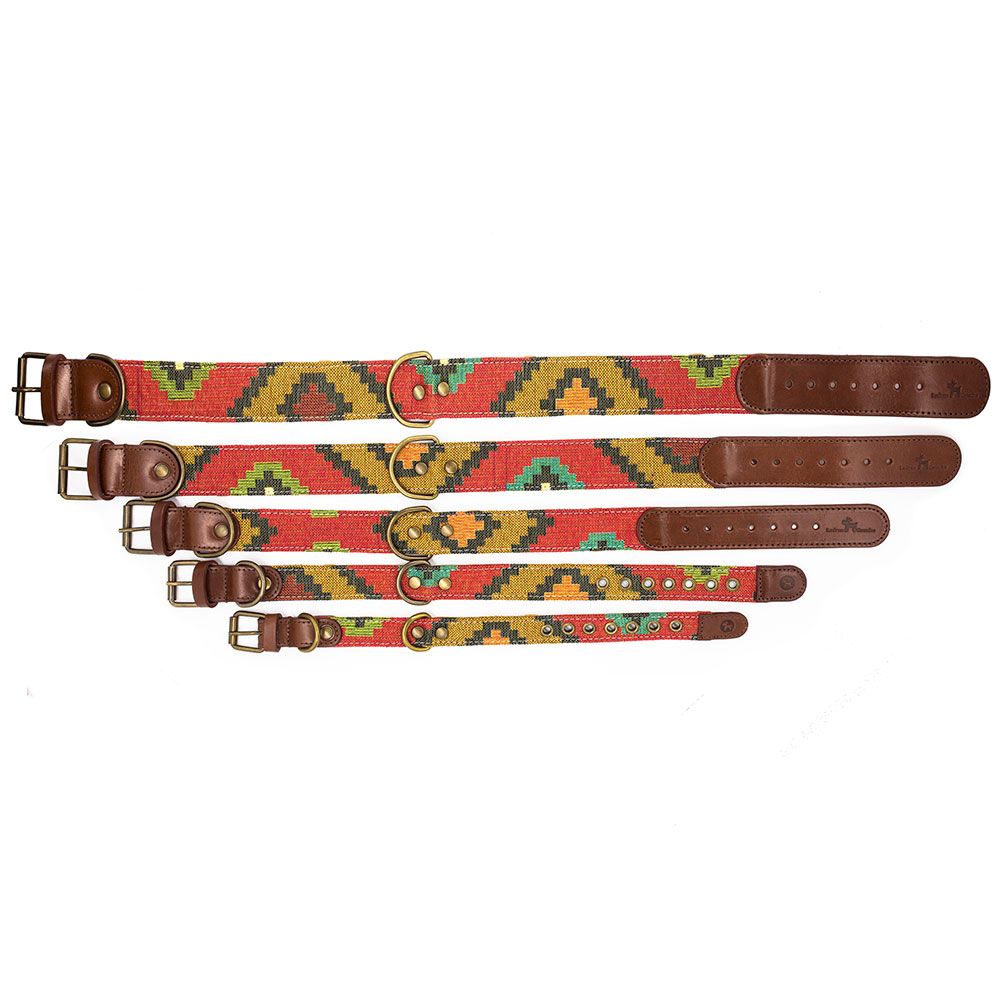 PetPlus Luxury Pongo collare cane in pelle fatto a mano