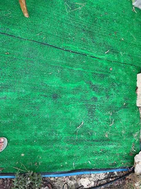 Baroni Home rotolo erba sintetica 1x20 m h 7 mm verde