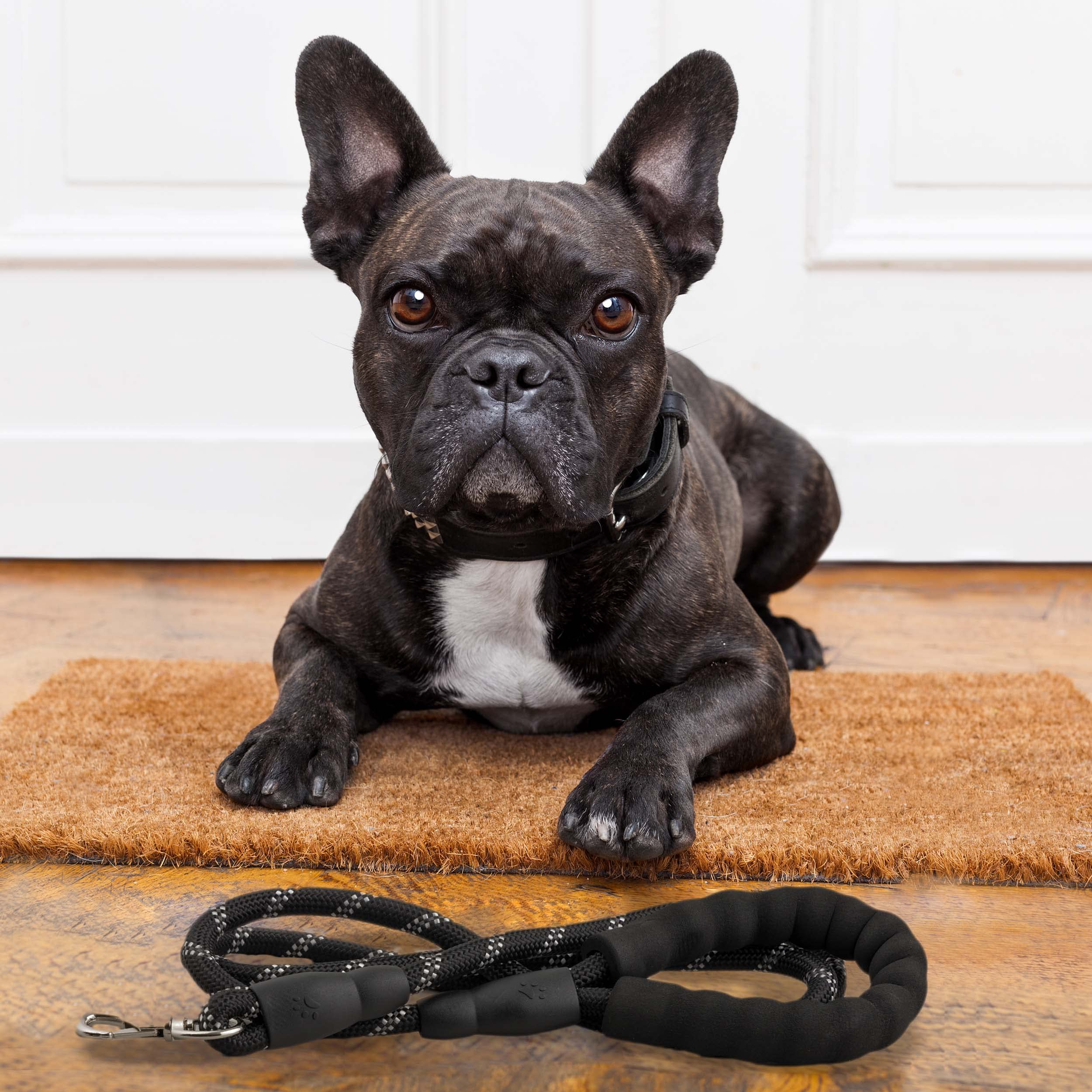Baroni Guinzaglio Cani 1,5 m Nero Riflettente