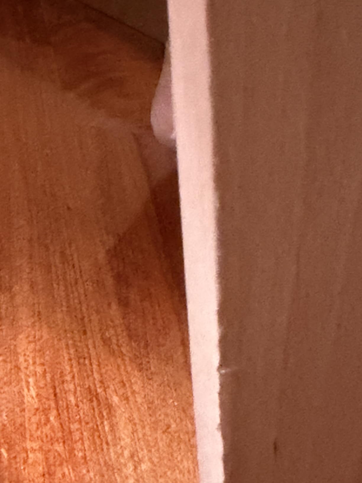 Baroni Home sedia pranzo ufficio bianca gambe legno 1 pezzo