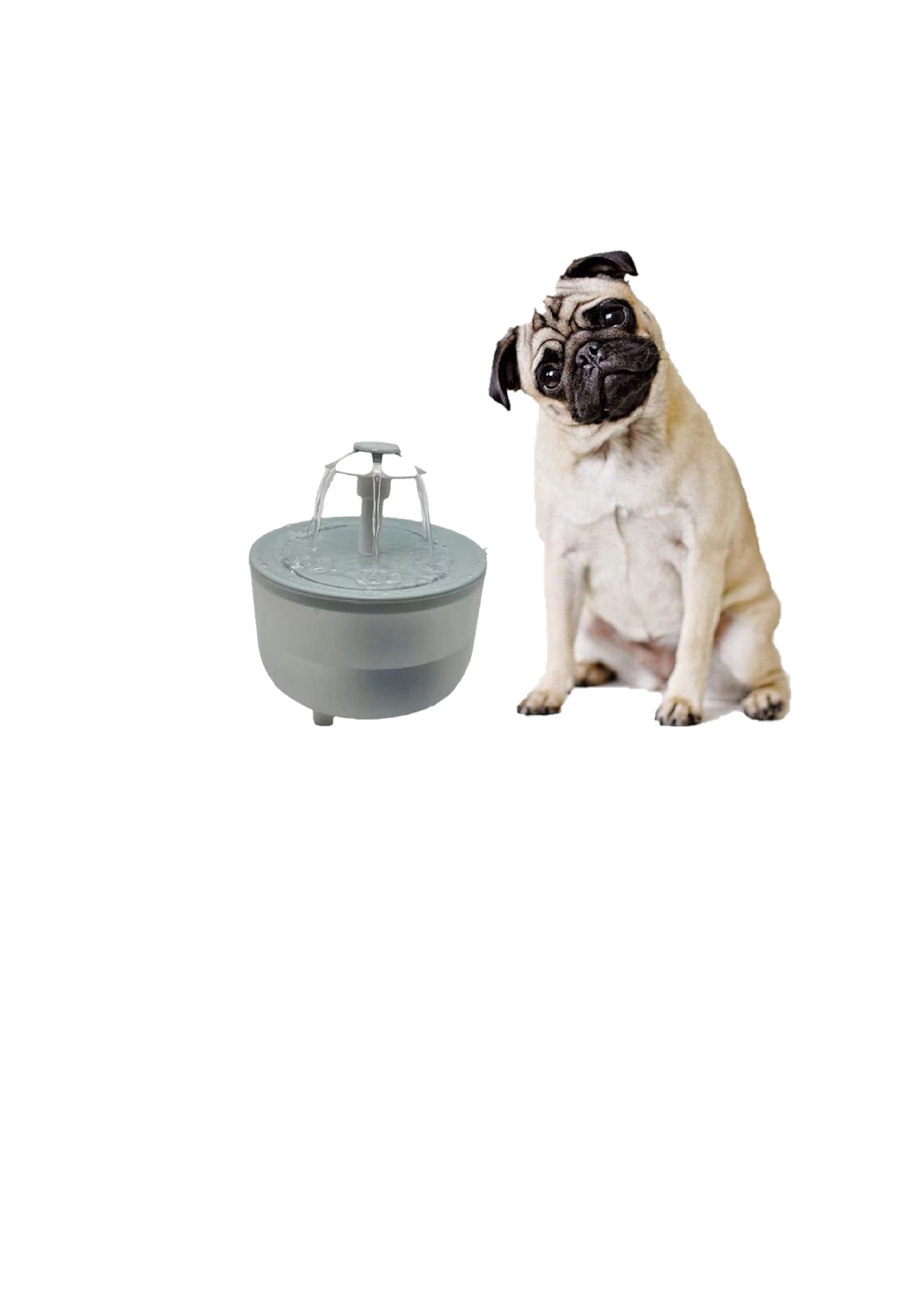 PetPlus fontana acqua gatti 1,2 L silenziosa