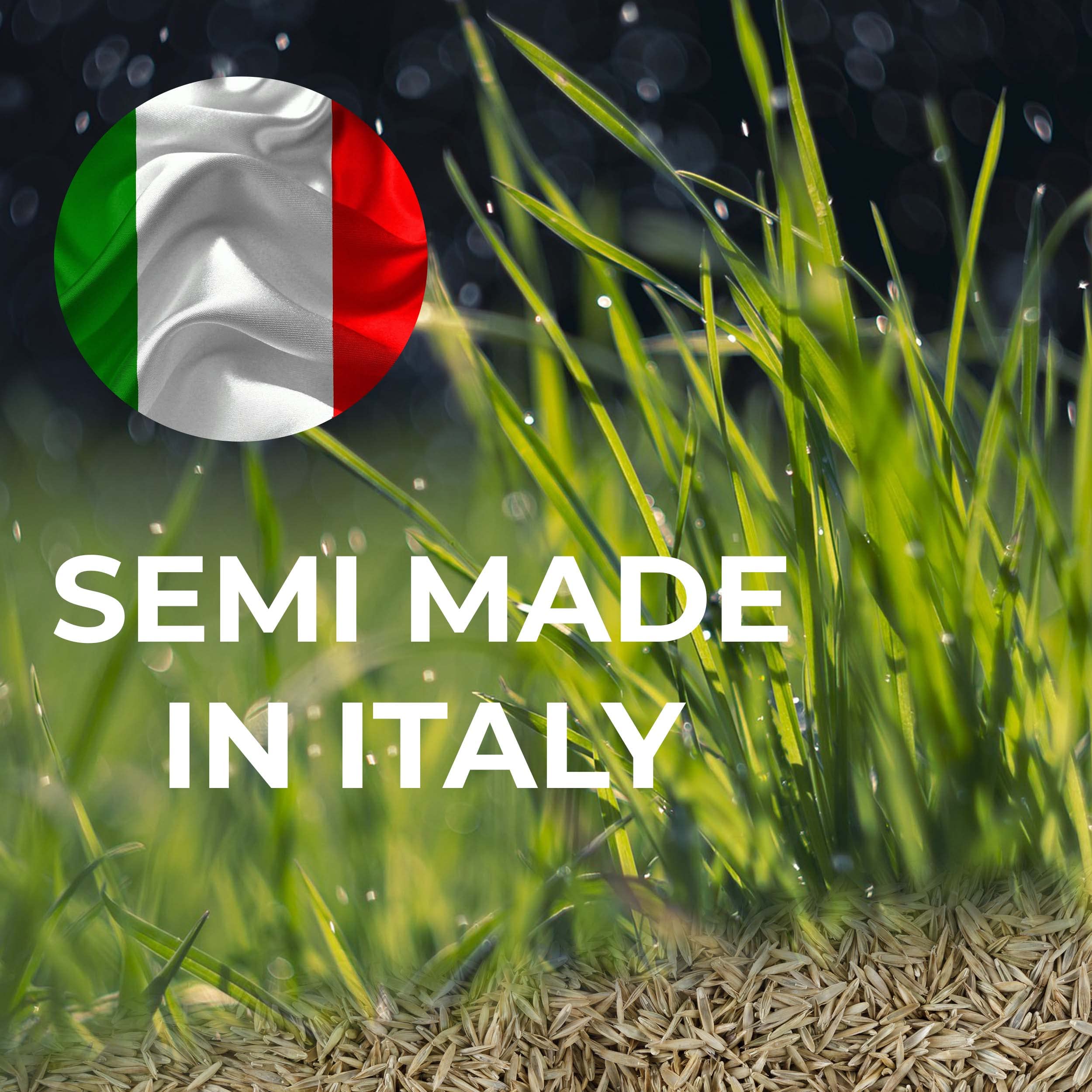 Baroni Semi Prato Ornamentale 40 Mq Alta Germinabilità